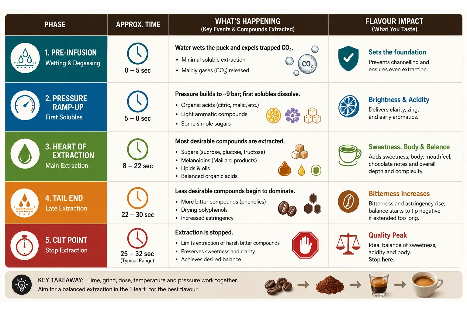 What Happens During Espresso Extraction?